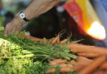 Nutricionista dá orientações sobre como realizar uma dieta vegana