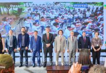 Veneziano representa o Senado no Palácio do Planalto, em solenidade que marcou os 20 anos do Programa de Aquisição de Alimentos